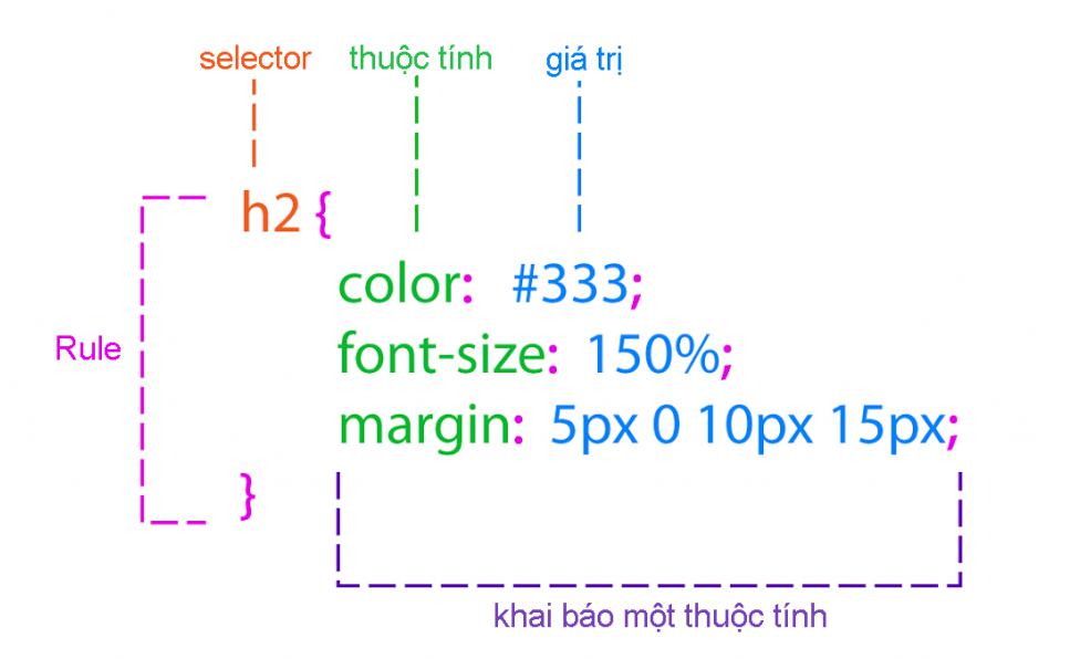 Selectors mẫu