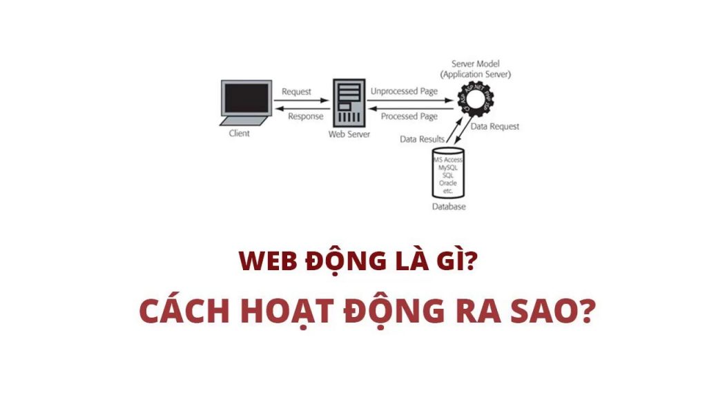 phần biệt web động web tĩnh